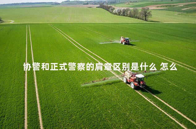 协警和正式警察的肩章区别是什么 怎么区分辅警和正式警察